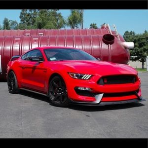 Meet your Posher, Dylan